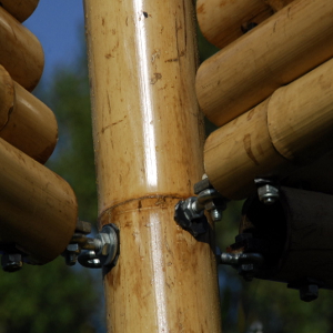 SBA canna bambu diametro 10cm 03