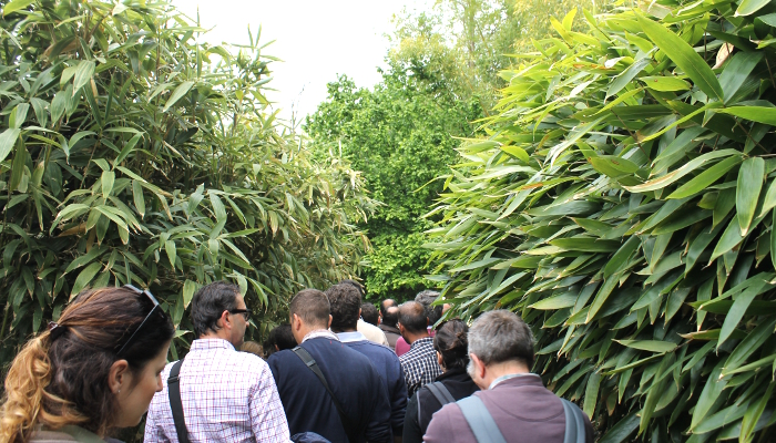 160507 visita bambuseto agronomi 04
