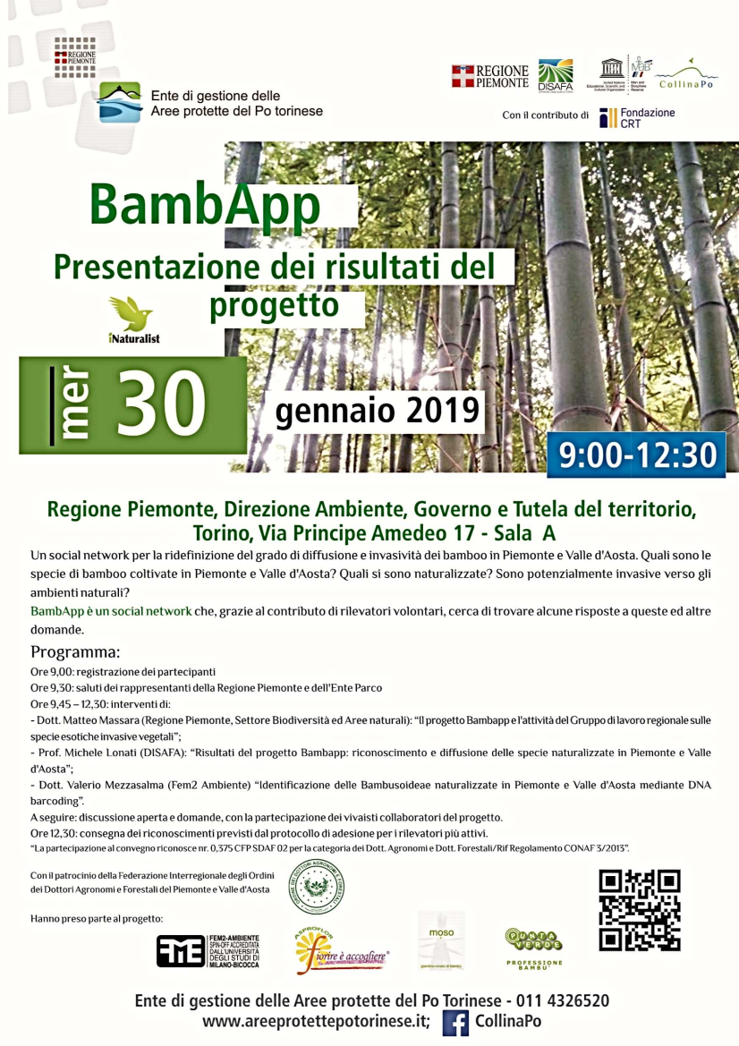 190130 convegno BambAPP 00