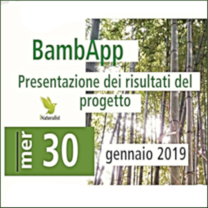 190130 convegno BambAPP 0i