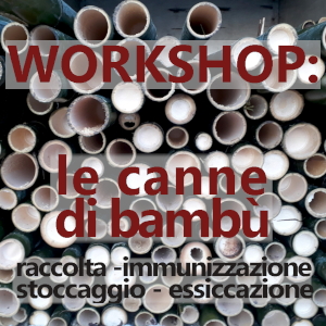 190322 workshop canne piobesi i