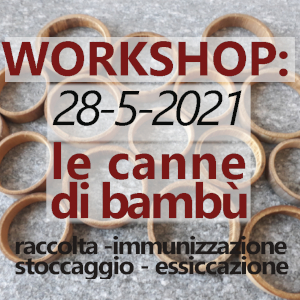 210528 workshop canne piobesi 00