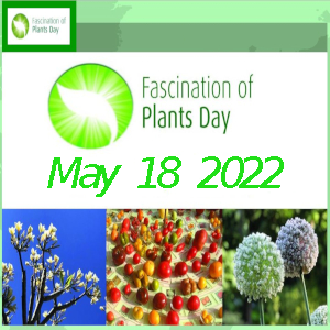220518 FoPD2022 0i