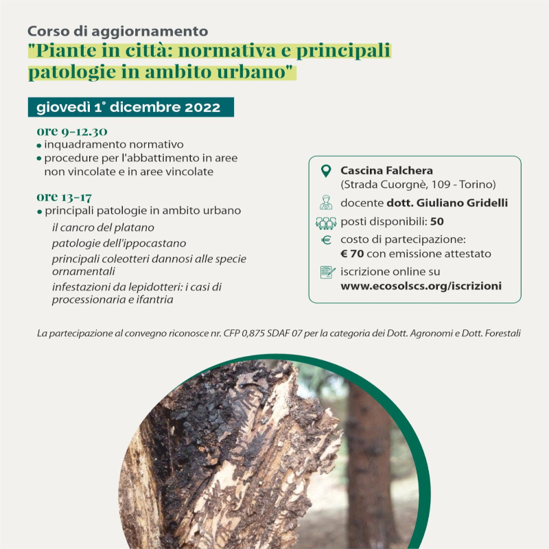 221117 greenjobacademy ecosol 04