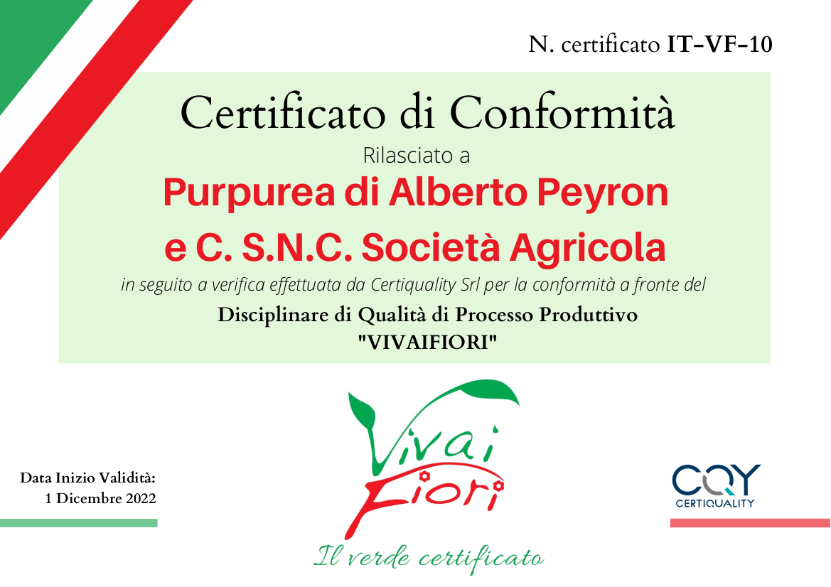 230301 marchio vivaifiori 2023