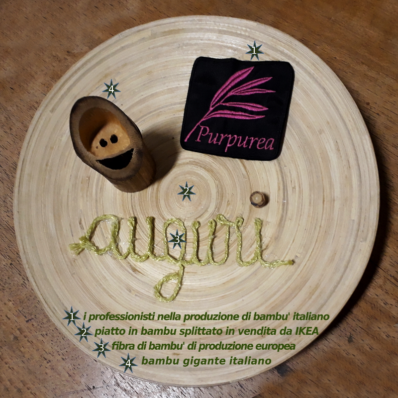 auguri purpurea 2017 800