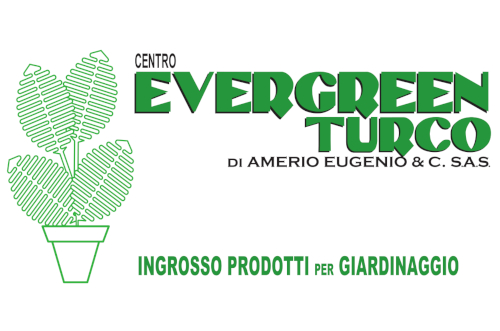 LOG centro evergreen 500x300