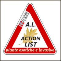 LOG invasive AL 200.jpg