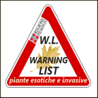 LOG invasive WL 200.jpg