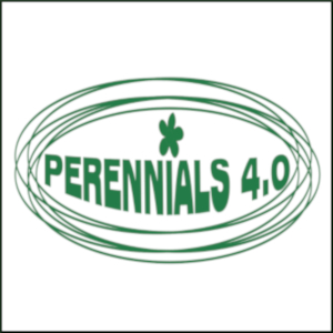 LOG perennials 300