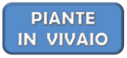 LOG piante in vivaio 300X65
