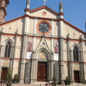 RPV carmagnola puzle collegiata 02b
