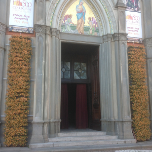RPV carmagnola puzle collegiata 06