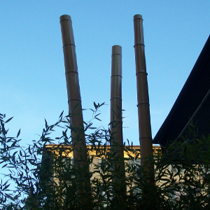 SBA canna bambu diametro 13cm 02