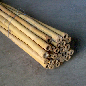 SBA canna bambu diametro 3cm 01