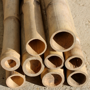SBA canna bambu diametro 8cm 01