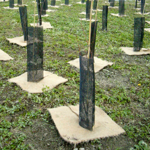 SPA pacciamatura biofeltro quadrotti 03