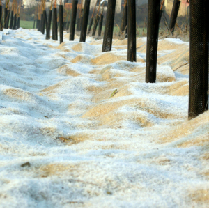 SPA pacciamatura biofeltro rotoli 01
