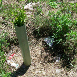 SPR reti protezione shelter tubex 04
