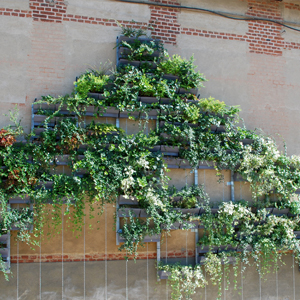 SPV verde verticale puzle introduzione 05