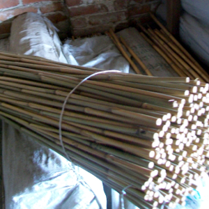 STU tutore cannetta bambu 150cm 05