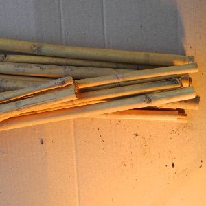 STU tutore cannetta bambu 240cm 01