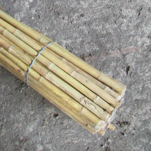 STU tutore cannetta bambu 240cm 02