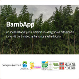 171214 bambapp 00