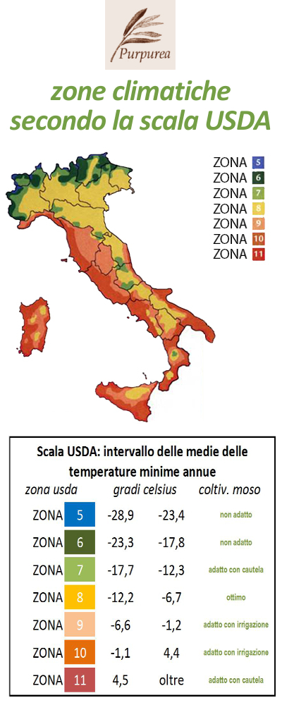 T ZO zone usda 01